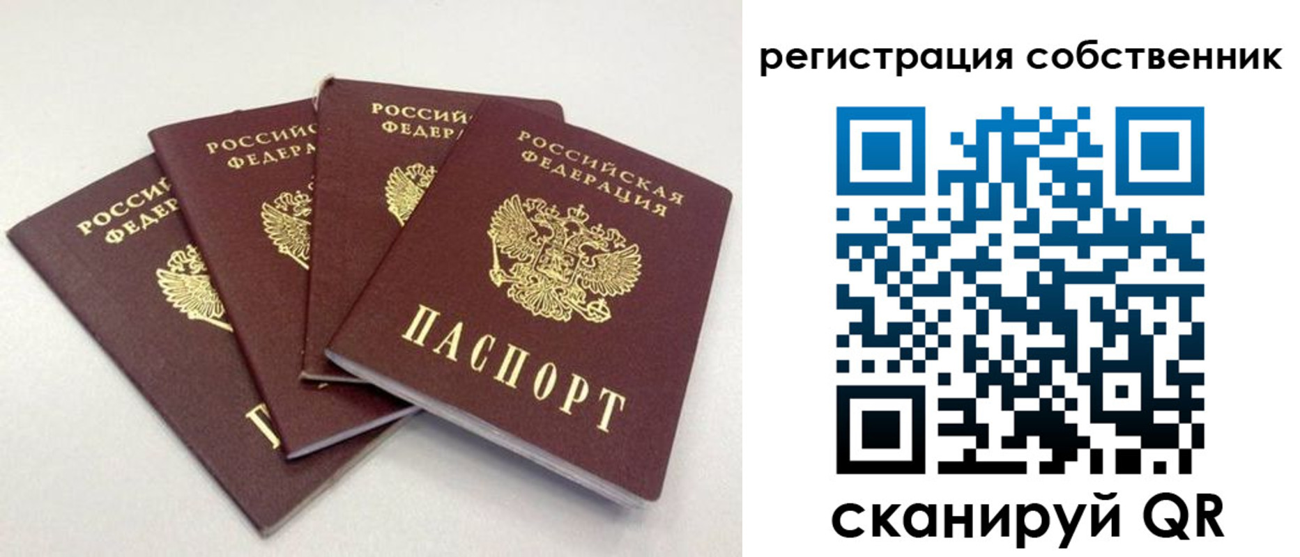 прописка для школы в Константиновске